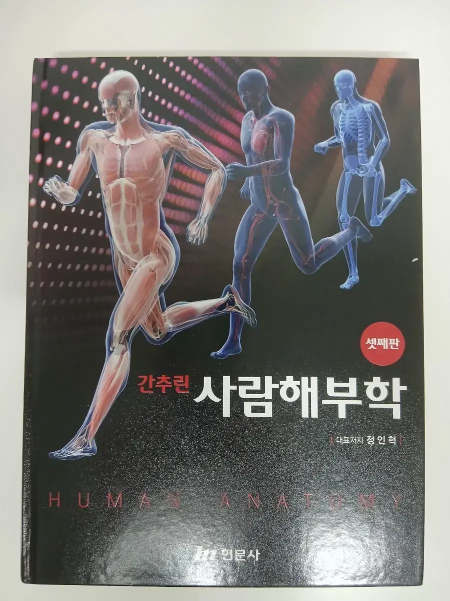 간추린 사람해부학 현문사